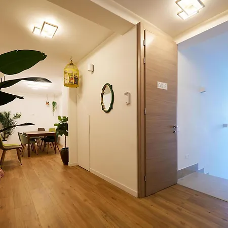 Business E Tourism Superior Con Bagno Privato Mascheretta Venezia Guest house